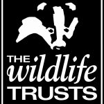 Devon Wildlife Trust